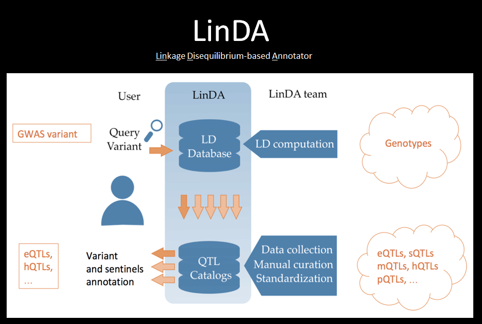 linDA
